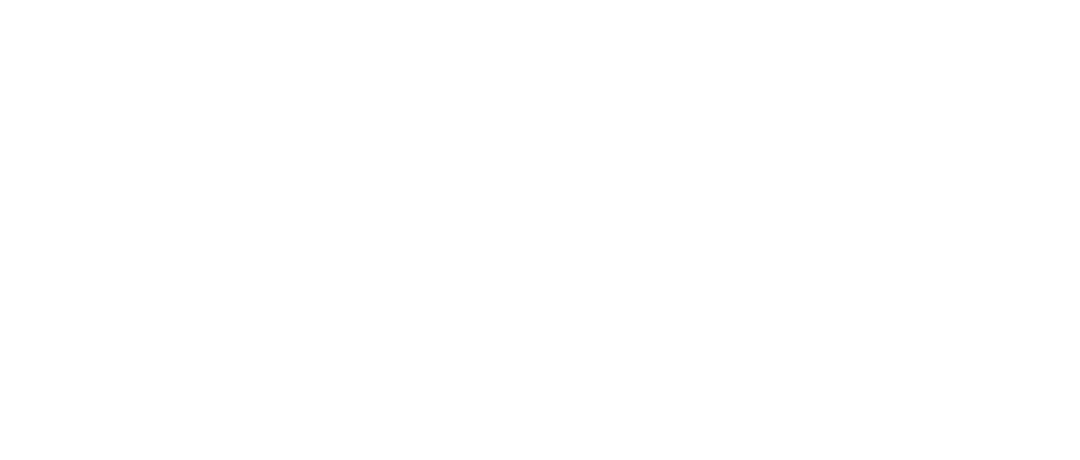 Siddhi Digital Solution